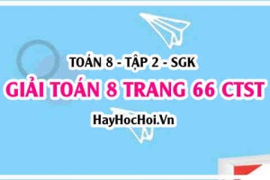 Giải Toán 8 trang 66 tập 2 Chân trời sáng tạo